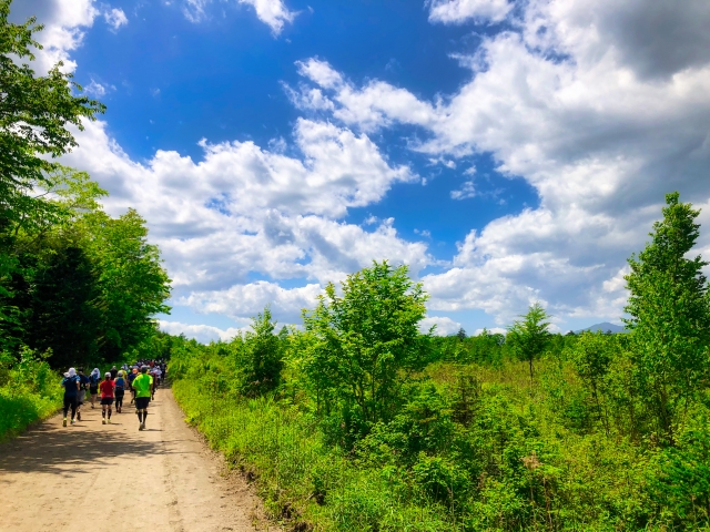 ウォーキング写真
