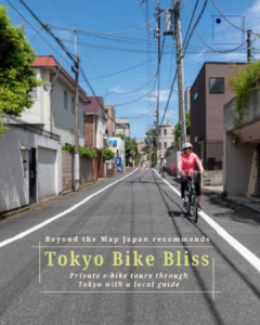 Tokyo Bike Bliss tour