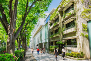 東京　新緑の表参道