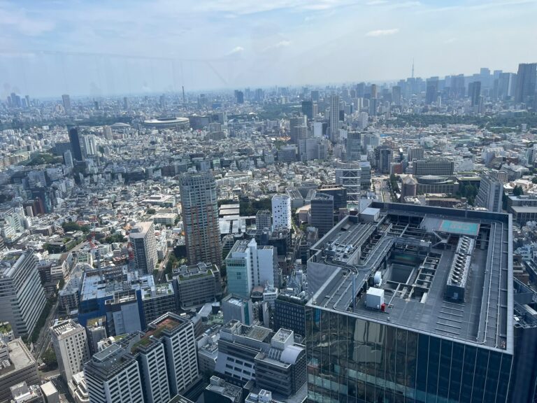 view from shibuya sky